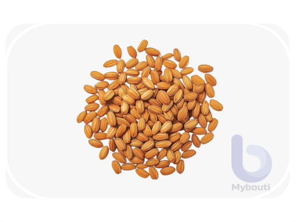 Rye